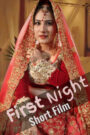 First Night (2024) HotHit Hindi Short Film Uncensored